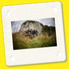 Errumania 2011 D21 (79).jpg